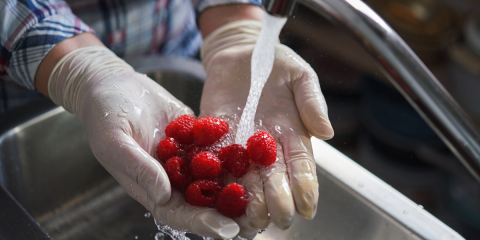 Corso base su sicurezza ed igiene degli alimenti