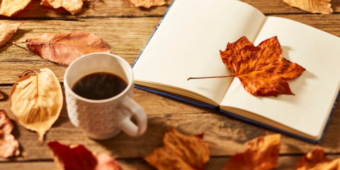 Eventi novembre 2025