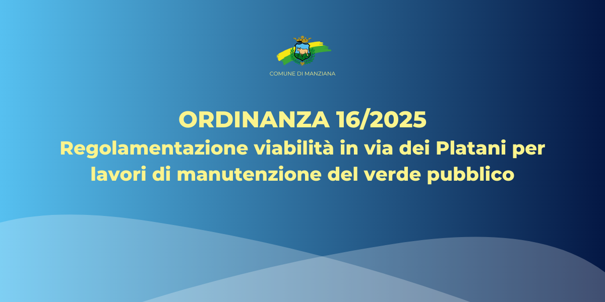 Ordinanza 16/2025
