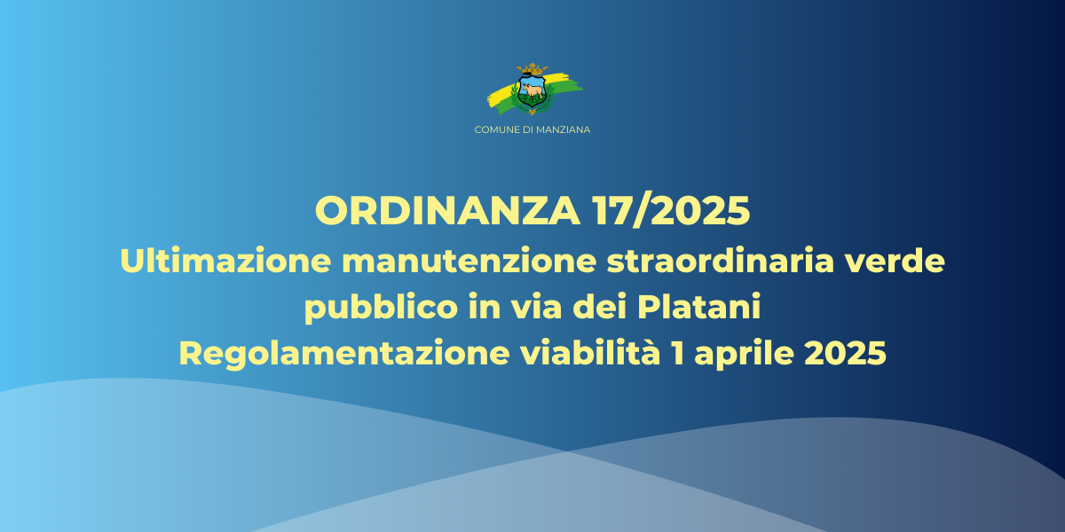 Ordinanza 17/2025
