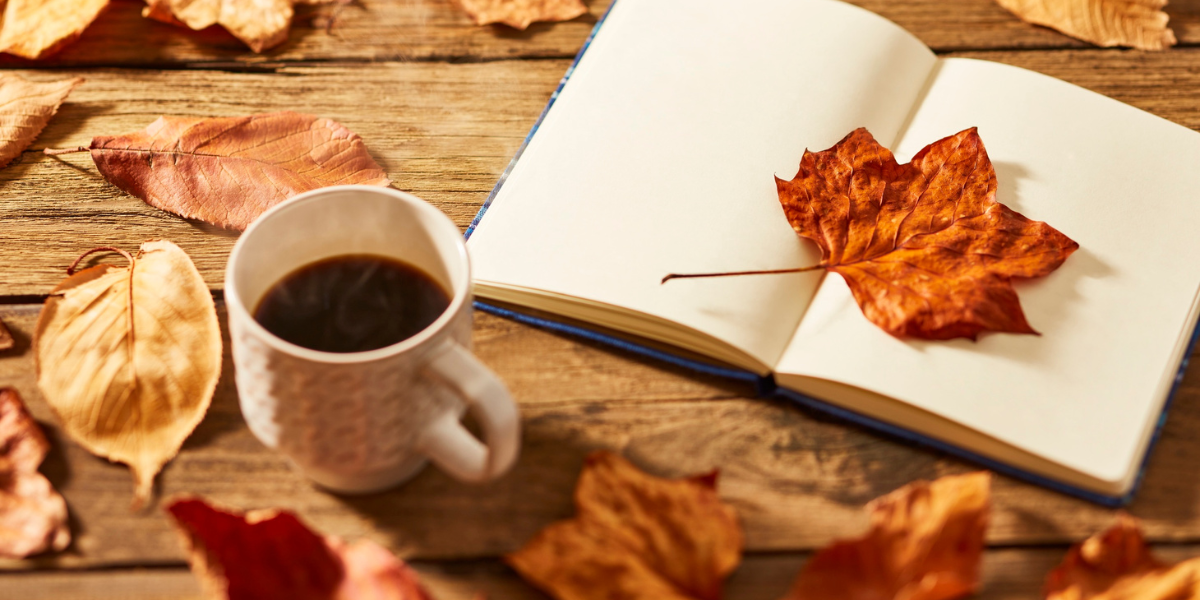 Eventi novembre 2025